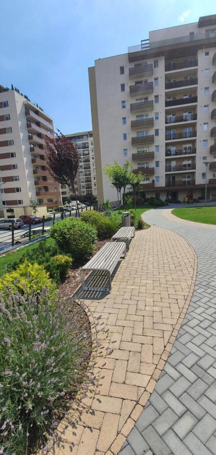 Apartment Alios Lux Braşov Exteriör bild